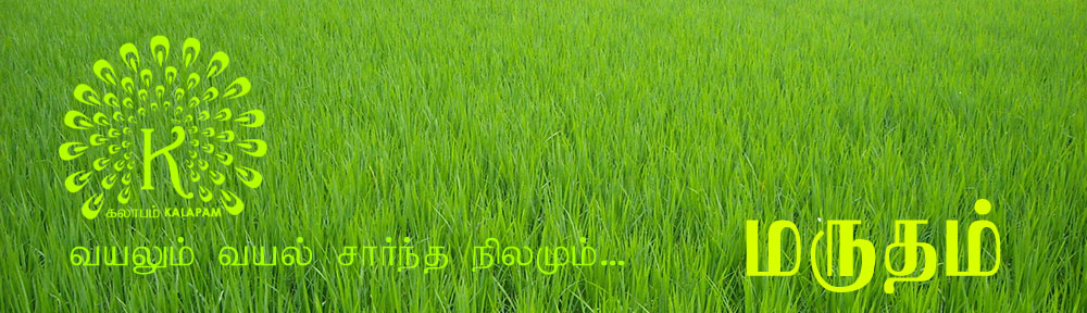 மருதம்: வயலும் வயல் சார்ந்த நிலமும்
